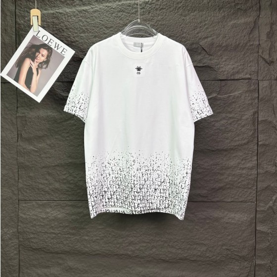 Dior Gradient Oblique Print T-Shirt